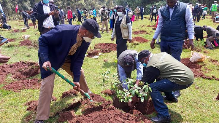 ree plantation program under Vasnudhara project 1