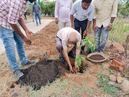 ree plantation program under Vasnudhara project 2