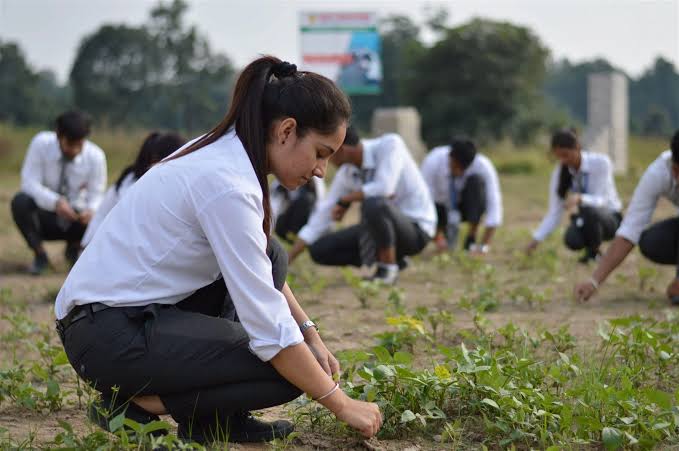 ree plantation program under Vasnudhara project 3